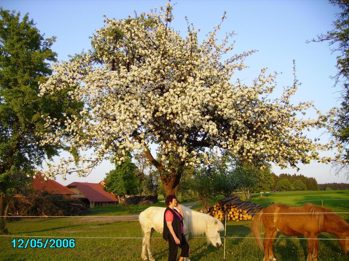 Gestehof Hetzenberg Haag Екстериор снимка
